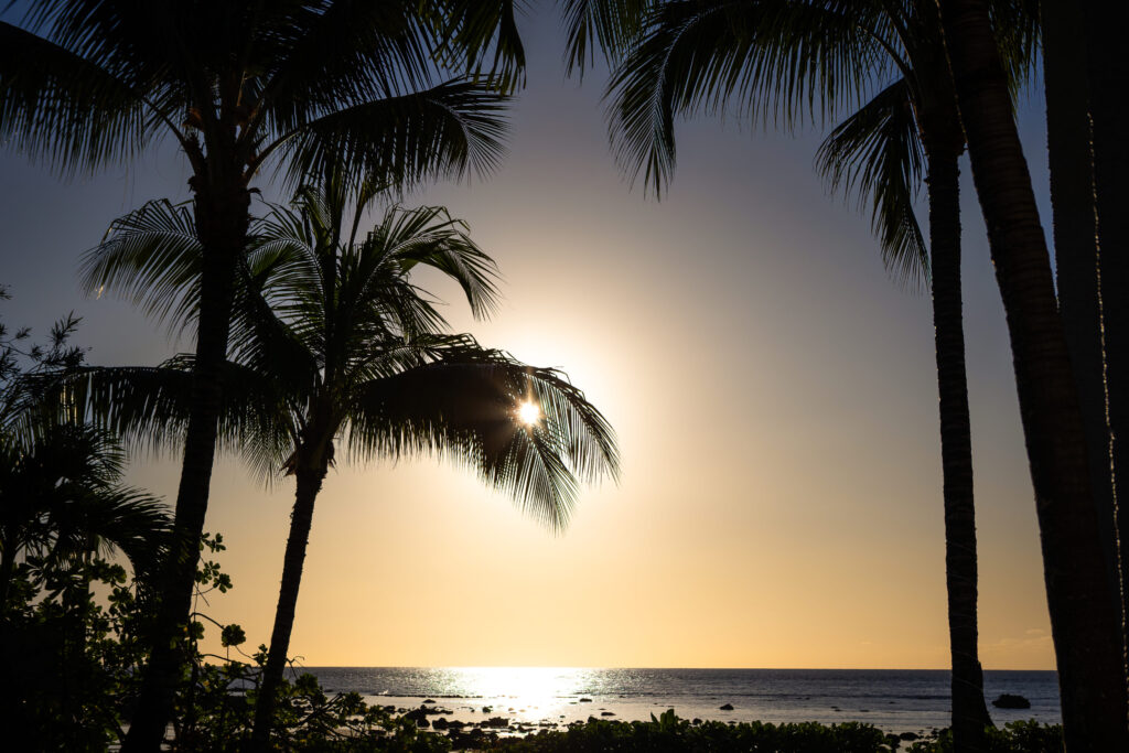 Mauritius: Die Sonne versinkt im Indischen Ozean, Palmen rahmen den goldenen Abendhimmel ein.