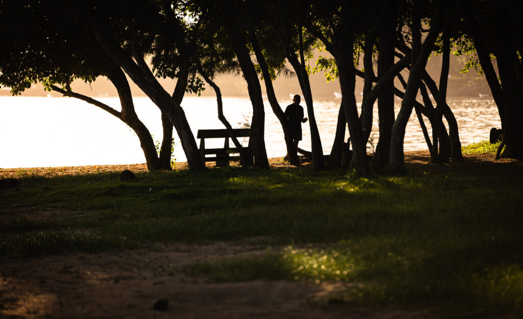 Mauritius: Stille Momente im Schatten der Bäume, während die Sonne golden über dem Wasser schimmert.