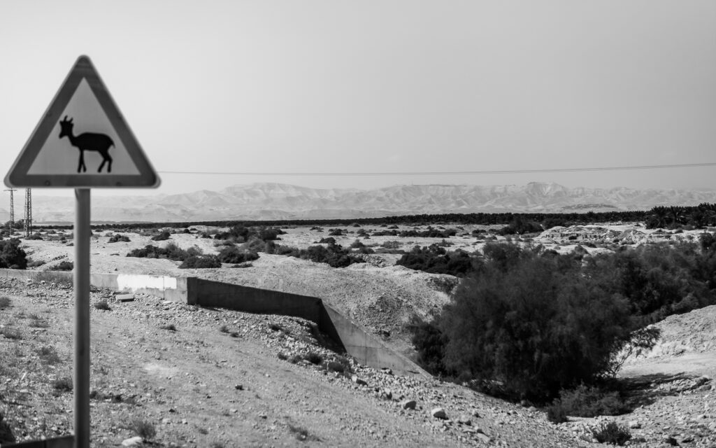 Verkehrsschild mit Ziegenwarnung in karger Wüstenlandschaft mit Bergen im Hintergrund, Schwarzweiß-Aufnahme.