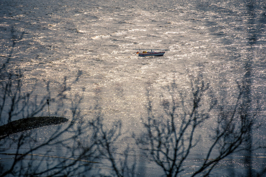 Kleines Boot mit deutscher Flagge fährt auf der Elbe über funkelnde Wasseroberfläche, im Vordergrund unscharfe Äste.