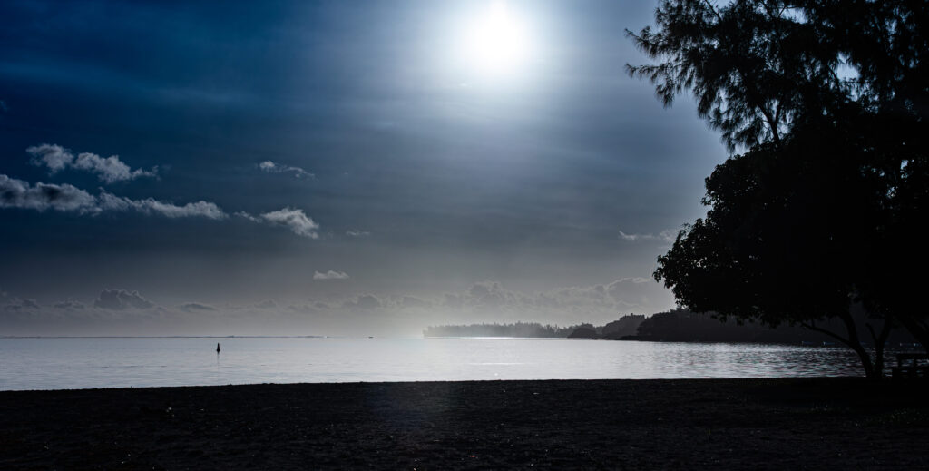Stimmungsvolle Küstenszene im Gegenlicht mit ruhigem Meer, Dunst am Horizont und Silhouette eines Baumes im Vordergrund.
